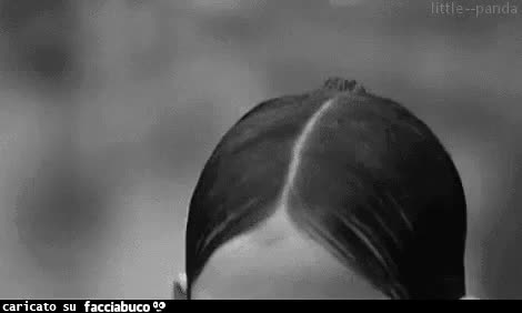 gif animata