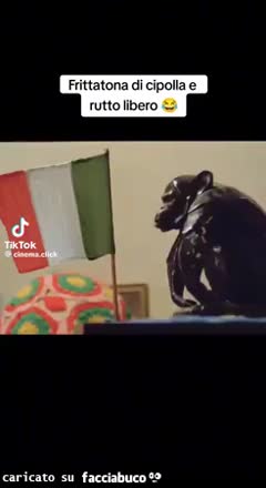 Gif Animata