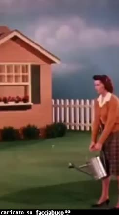 Gif Animata