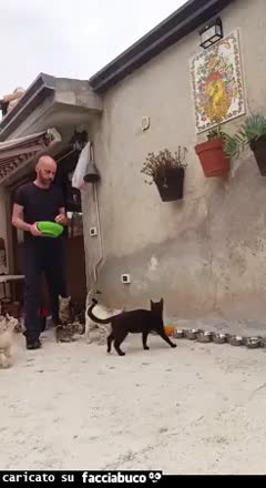 Gif Animata